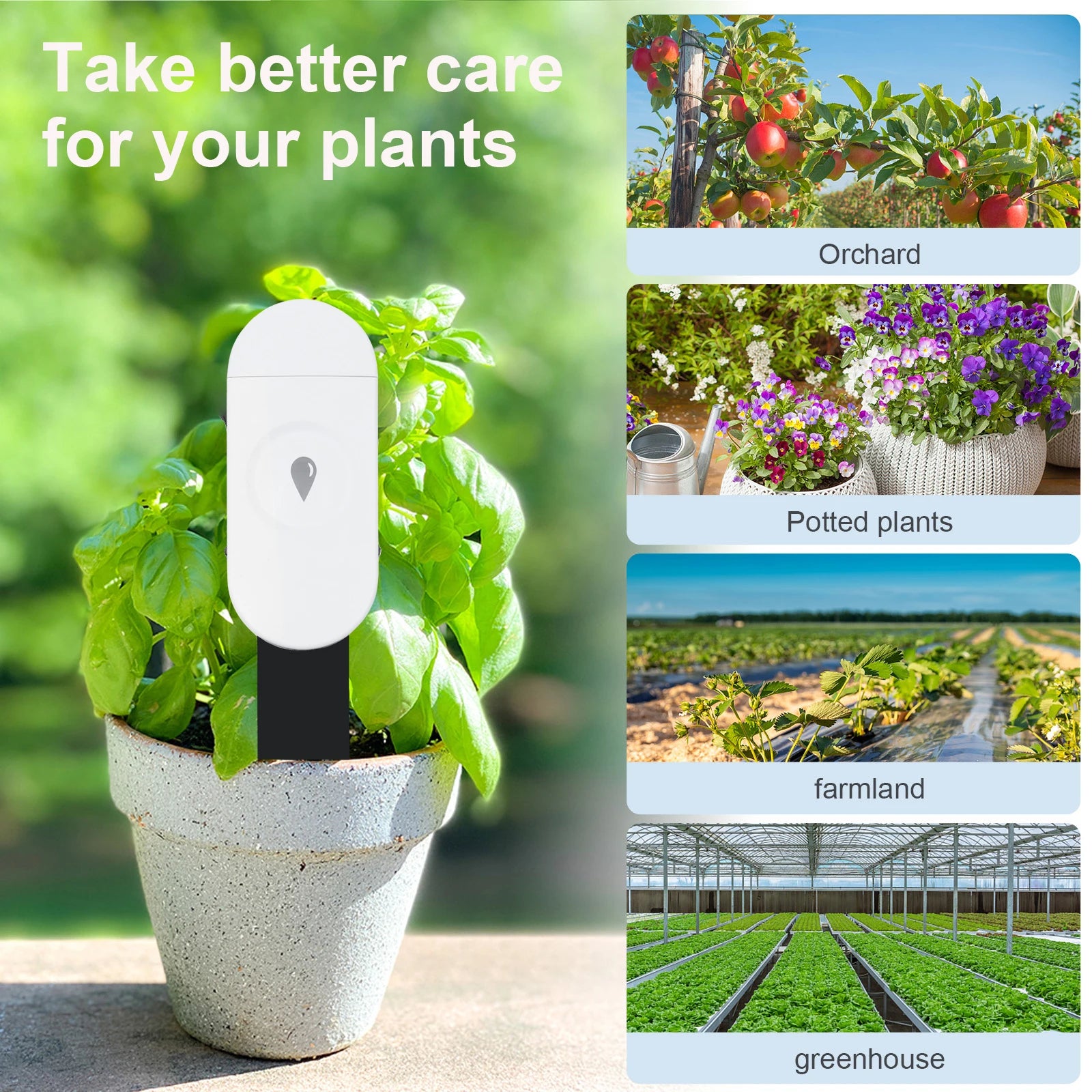 Tuya Zigbee Smart Soil Moisture & Temperature Sensor